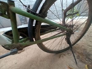 Bicycle ❤️❤️