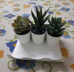 Succulent  Artificial Plants with pot