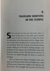 Quest for the Diamond Sword Minecraft Novel