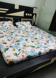 Elastic Fitted Double Bed Bedsheet with 2 Pillow C