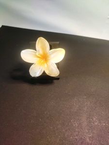 Trending Flower Clutcher