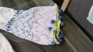 Embroidered indo-western dress