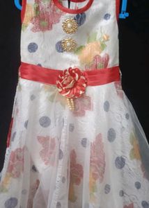 Long Net Frock