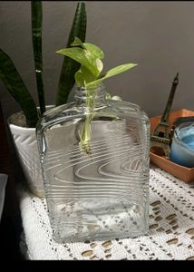 Aesthetic Glass Bottle/vase/jar