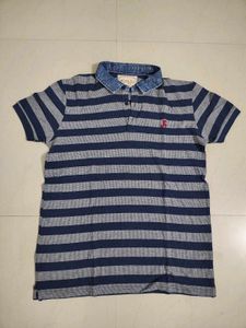 Stripped Polo Tshirt for men