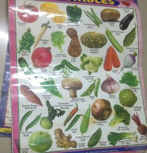 Hindi Varnamala, Vegetables Fruits Animals Chart