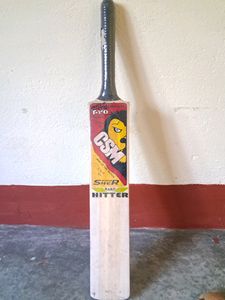 Small Cricket Bat
