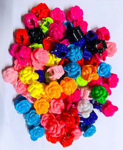 Kids Hair Clutcher 25 Pcs Multicolor