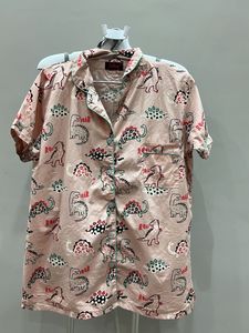 Dinosaur Print Shorts Set