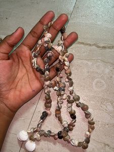 Real Seashells Necklace