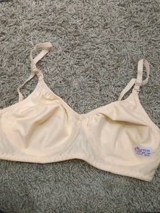Peach Colour Bra