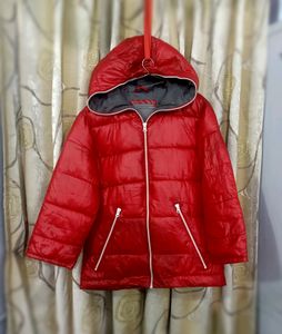 CHERRY 🍒 RED PUFFER