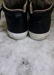 Converse Sneakers