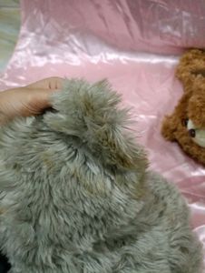 Combo Of 2 Teddy 🧸 Toys