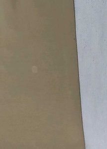 Tan Flare Korean Pants