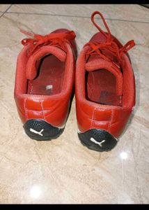 Puma Ferarri Model Shoes