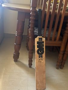 Original Kashmir Willow