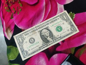 Foreign Currency
