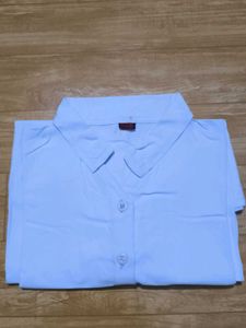 Light Blue Short Sleeve Button Down