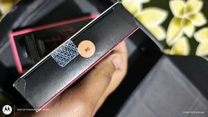 RENEE Bollywood Filter waterproof Set with freebie