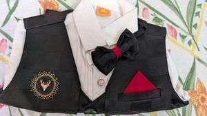 Party wear suit with bow tie for boys