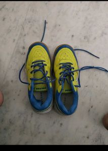 Vector Indoor Soccer Shoes