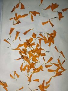 Dried Flowers For Crafting
