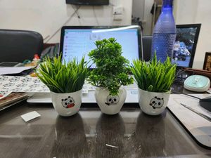 Cute ♥️😜 Artificial Pots Of 3 Pieces