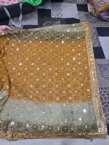 Elegant Embellished Saree