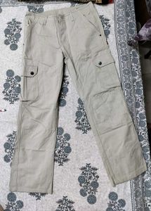 Beige Colour Cargo