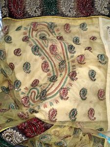 Heavy Wedding/Party/Festive Saree