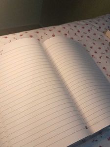 Cute Dog Notebooks
