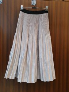 Silver Skirt
