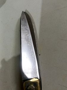 Pital Handle Sisor
