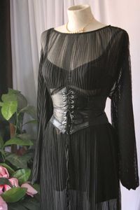 Zara Sheer Black Dress Without Belt