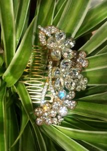 Hair Queen Clip