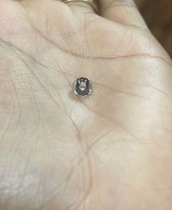 Cute Cat Earrings