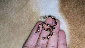 Two Pairs Of Studs