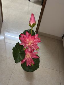 Beautiful Lotus Showpiece