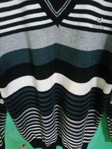 New Men Sweater