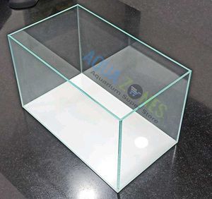 Fish Aquarium