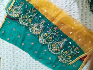 Pakistani Organza Kurta Set