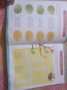 Fun Book
