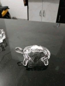 Crystal Tortoise