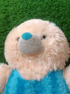 Teddy Bear 🧸 Kids