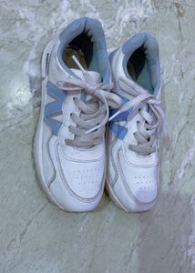 casual shoe