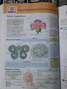 Biology Ncert At Your Fingertips