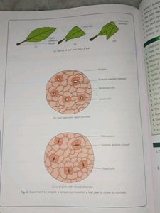 Laboratory Manual Science Class X