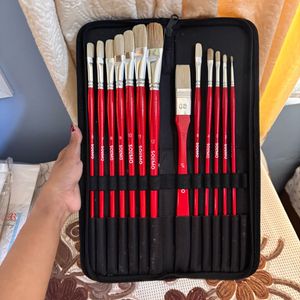 🎨 Solimo 13-Piece Oil Paint Brush Set + Premium C