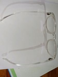 Stylish Spectacles
